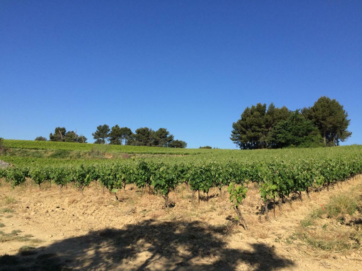 Bastide Bellugue Maison D'Hotes Reseau Bienvenue A La Ferme A 3 Minutes De Lourmarin Cadenet Ngoại thất bức ảnh