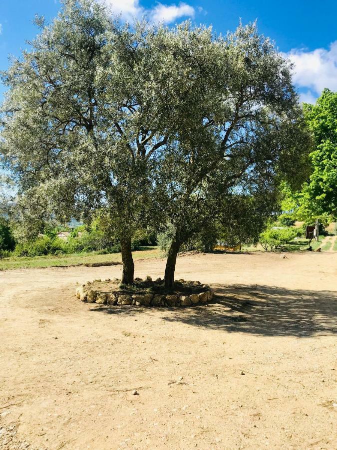 Bastide Bellugue Maison D'Hotes Reseau Bienvenue A La Ferme A 3 Minutes De Lourmarin Cadenet Ngoại thất bức ảnh